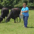 Sandy Coleman Mitchell feeds cattle at her family's farm in Corinth on July 14, 2014. Mitchell strives to educate her community about the importance of agriculture. (Photo by MSU Ag Communications/Kevin Hudson)