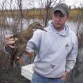 Joe Lancaster, a doctoral student at Mississippi State University, prepares to release a female mallard with a backpack radio transmitter. Lancaster, a 2014 recipient of the Thomas A. Plein Endowed Graduate Student Scholarship, studies habitat use and survival of mallard ducks wintering in the Mississippi Delta. (Submitted Photo)