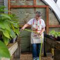 Woman in a greenhouse watering plants.