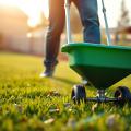 Person applying lime to yard.