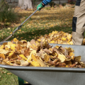 A man raking leaves into a wheelbarrow. 