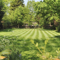 Freshly mowed lawn. 