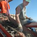 Steve Pettit inspects sweetpotatoes being harvested on his farm near Houston.