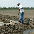 Steven Felston, an agricultural assistant at MSU's Delta Research and Extension Center, is flushing a recently flooded rice field on April 16, 2010. (Photo by Rebekah Ray)