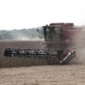 A spread-out planting season means the state's soybean crop will be harvested from early September until the end of October. (file photo)