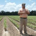 Darrin Dodds, Mississippi State University Extension cotton specialist, says cotton producers remain optimistic about their crop even though planting was frequently interrupted and spread out over a longer period of time. Dodds spoke to producers June 17, 2014 at the Delta Research and Extension Center in Stoneville, Mississippi. (Photo by MSU MAFES/David Ammon)