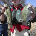 Managing small ponds for large, healthy crappie, such as these pictured, requires careful management and a willingness to give up the expectation of also harvesting large, healthy bass from the same pond. (Submitted photo)