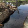 Water resources are connected, like this stream entering an oxbow in the Mississippi Delta. Chemicals that enter in one area have the potential to spread far and wide, impacting water quality and the health of aquatic organisms. (Photo by the MSU Water Quality Laboratory)