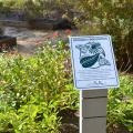  A closeup of the official Monarch Waystation sign is shown in the revitalized children's educational garden at the MSU Crosby Arboretum