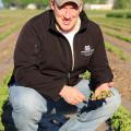 John Orlowski, a Mississippi State University assistant research and Extension professor, inspects soybean seedlings in a plot at the Delta Research and Extension Center in Stoneville. Orlowski will coordinate the first Mississippi Soybean Yield Contest. (Photo by MSU Delta Research and Extension Center/Kenner Patton)