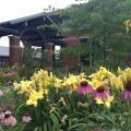 An arched entry of a red brick building is behind a colorful garden of flowers and bushes.