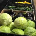 Light green lettuce, dark purple eggplant and cucumbers sit on black shelves.