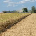 A combine harvester cuts hay in a field.