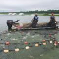 Large nets converge on a boat with two men aboard.