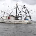 Fishing vessel trawls multiple nets for shrimp.