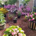 A variety of different sized and colored containers rest on a bed of gravel.