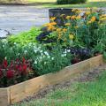 A variety of flowers are lined with wood.