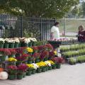 The Mississippi State University Horticulture Club sold a wide variety of flowering plants, trees, and vegetables at their annual fall plant sale behind Dorman Hall on Oct. 12. Students gain hands-on experience raising ornamental plants from seed and use funds raised by the plant sales to pay for educational conferences. (Photo by MSU Ag Communications/Kat Lawrence)