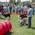 The Mississippi State University College of Veterinary Medicine will host its annual Open House April 5 and 6. Students enjoy the hands-on activities and demonstrations. (Photo by MSU College of Veterinary Medicine/Tom Thompson)