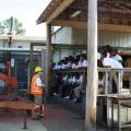 Mississippi State University Sustainable Bioproducts department head Rubin Shmulsky tells students at the 2013 Wood Magic Fair sawmill station about lumber manufacturing. (College of Forest Resources/File photo)