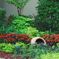 A tall urn holds a tree fern surrounded by Dragon Wing Red begonias and Marguerite sweet potatoes. Electric Lime coleus, SunPatiens Vigorous Red impatiens, Gold Mound duranta and Goldilocks lysimachia are layered in the bed around it, and Super Dwarf Cavendish bananas flank the planting.