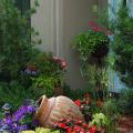 SunPatiens Vigorous Orange is planted behind lime green Joseph's coats, setting off the Blue Wave petunias spilling out of a container. (Photos by Norman Winter)