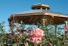 Among the garden's features are a central gazebo, raised brick planting beds, paved walkways, an arched bridge, three arbors, and an ornate brick and steel fence. (Photo by Bob Ratliff)