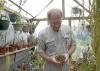 Victor Maddox , a scientist in the Mississippi Agricultural and Forestry Experiment Station, shows the pink flower on a South African plant, the only specimen from the Rhodohypoxidaceae family in his extensive personal collection of plants from all over the world.