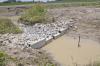 A low-grade weir, such as this one, slows runoff water leaving fields, allowing microbes in the soil and vegetation to pull nutrients out of the water, reducing the nutrients going downstream. (Photo by MSU Ag Communications/Scott Corey)