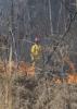 Clyde Brown, an agricultural technician with Mississippi State University's Forest and Wildlife Research Center, stands on a fire lane to monitor a prescribed fire on a cut-over in Oktibbeha County. After the site was clear cut and an aerial application of herbicide was applied, it was burned and replanted in pines. (Photo by MSU Forest and Wildlife Research Center)