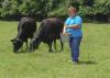 Sandy Coleman Mitchell feeds cattle at her family's farm in Corinth on July 14, 2014. Mitchell strives to educate her community about the importance of agriculture. (Photo by MSU Ag Communications/Kevin Hudson)