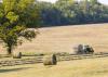 Mississippi hay supplies are expected to be low going into winter. Factors that contributed to low production include a very cold winter, a wet spring and an abundance of armyworms. (Photo by MSU Ag Communications/Scott Corey)