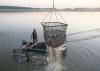 Mississippi catfish sales in 2016 from the state’s 150 farms totaled more than $213 million, nearly $100 million more than the nearest competing state. Catfish are shown being seined at Lee Farms in Noxubee County on March 21, 2017. (Photo by MSU Extension Service/Kevin Hudson)