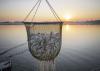 A basket of catfish hovers above a pond and against a sunset background.