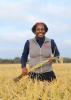 A woman holds a stalk of grain while standing in a field.