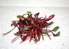 Tiny, red plant sprouts have been cut and placed in a pile.