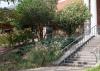 Different plants decorate the area beside a set of stairs.