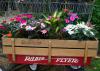 Plants with colorful flowers fill a child’s wagon.