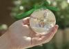 Use a clear glass ornament and a digital photo to create a simple and personal Christmas present that will impress family and friends. (Photo by MSU Ag Communications/Kevin Hudson)