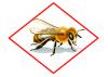 The bee hazard icon and accompanying label information are designed to provide warnings and information that will allow chemicals to be used against pests while protecting pollinators from exposure. (Graphic by Environmental Protection Agency)