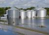 Flooded grain bins in Crowley, Louisiana, are among the many problems Louisiana producers are facing after historic flooding caused more than $100 million in damage to the state’s agriculture. Mississippi State University Extension Service personnel have worked with state hay growers to send forage to producers in Louisiana affected by flooding earlier this month. (Photo by Louisiana State University AgCenter Communications/Bruce Schultz)