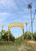 Agritourism offers opportunities for entertainment -- such as this corn maze shown at Mitchell Farms in Collins, Mississippi -- that also educate about agriculture and add to local revenue streams. (File photo by MSU Extension Service/Kevin Hudson)