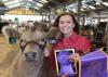 Jasper County 4-H member Lacie Winn finished her 4-H livestock project career at the Mississippi State Fair in Jackson, Mississippi. Winn placed with Drake, her European crossbred steer, in the competition on Oct. 8, 2016. (Submitted photo)