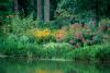 Joe Pye weed and Goldsturm rudbeckia partner well in this lakeside planting, looking impressive even from a distance.