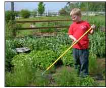 Boy in the garden